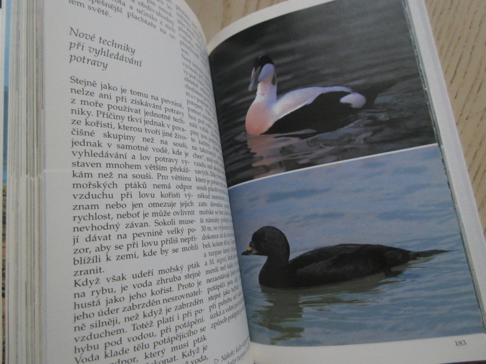 MOŘE A POBŘEŽÍ, PRŮVODCE PŘÍRODOU, JOSEF REICHHOLF, KLAUS JANKE, BRUNO P. KREMER, **an