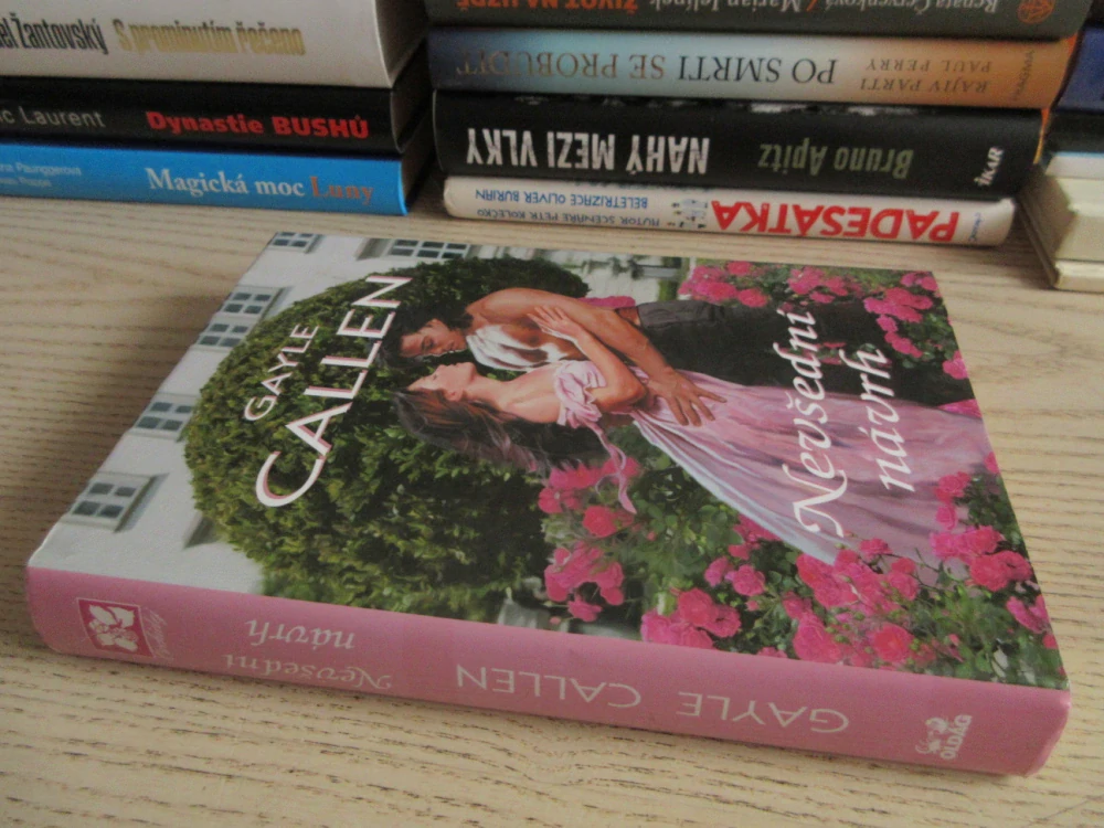 NEVŠEDNÍ NÁVRH, GAYLE CALLEN, **an