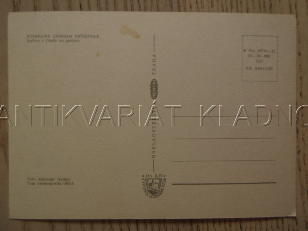 BOTANICKÁ ZAHRADA PRŮHONICE, BUČINA V OBOŘE NA PODZIM, OKRES PRAHA-ZÁPAD, POHLEDNICE 1245