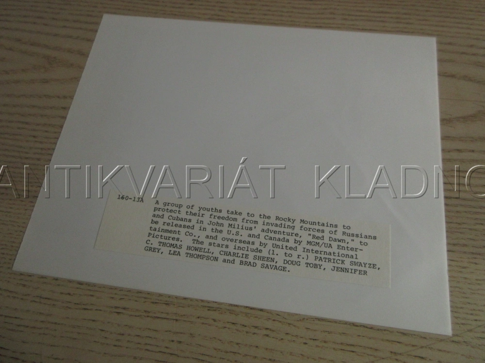 RUDÝ ÚSVIT, P. SWAYZE, C. SHEEN, J. GREY, FOTOSKA FILM USA 15693