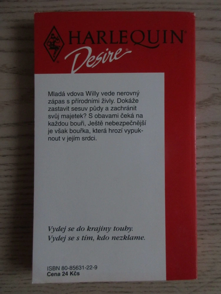 ČEKÁNÍ NA BOUŘI, DIXIE BROWNINGOVÁ, **an