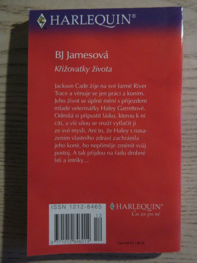 KŘIŽOVATKY ŽIVOTA, BJ JAMESOVÁ, **an