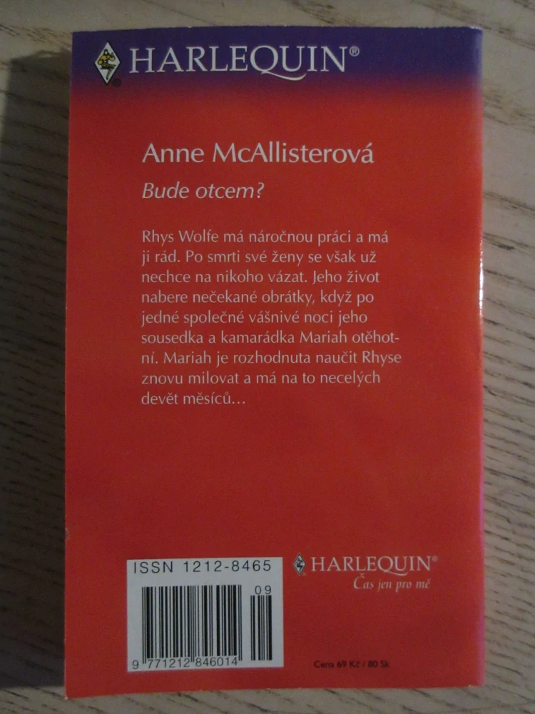 BUDE OTCEM?, ANNE MCALLISTEROVÁ, **an