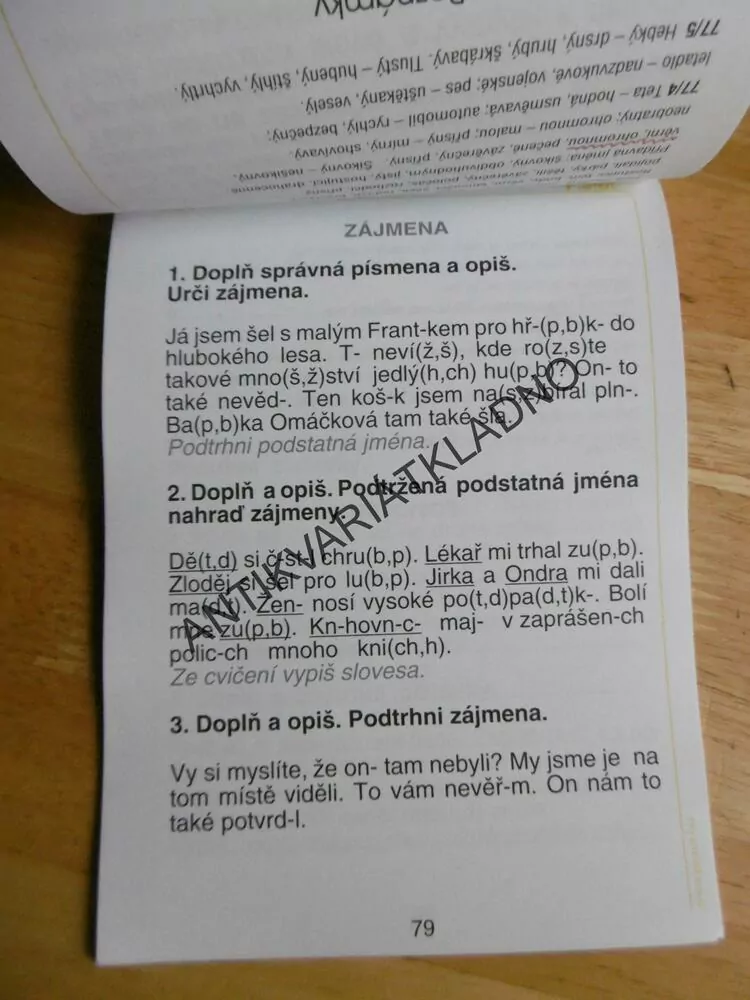 DOMÁCÍ PROCVIČOVÁNÍ ČESKÝ JAZYK 2. TŘÍDA