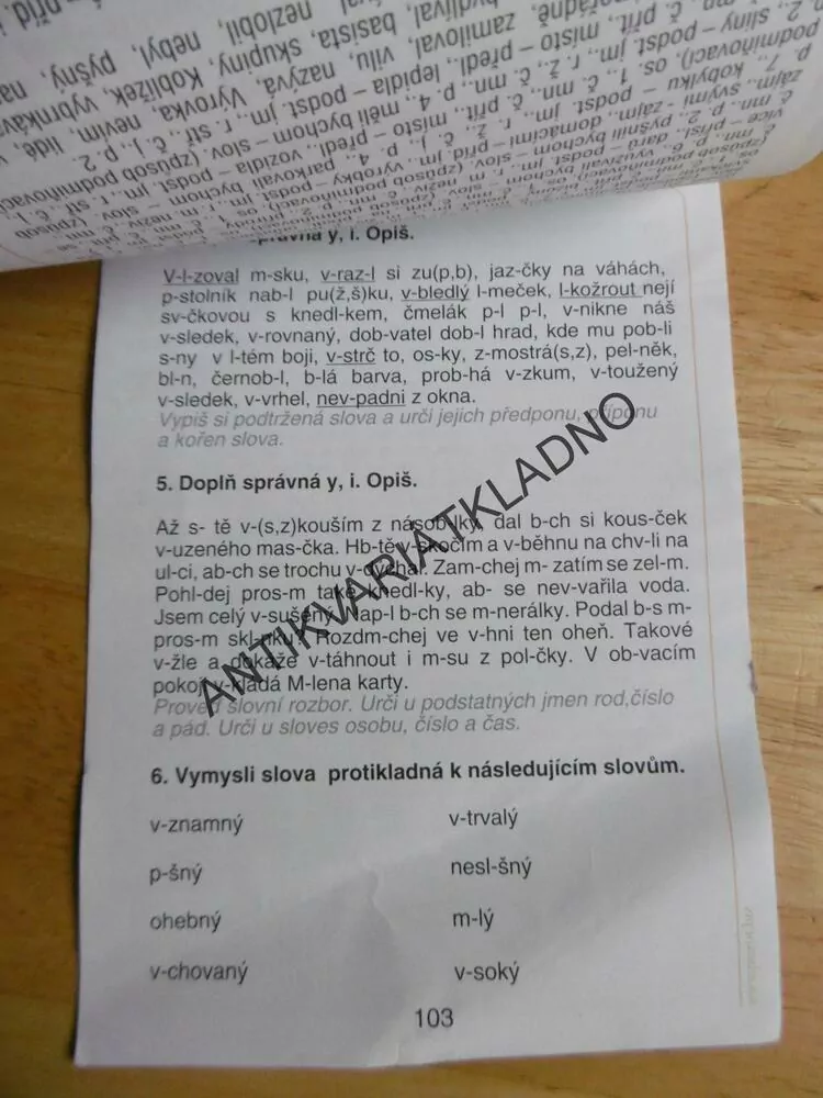 DOMÁCÍ PROCVIČOVÁNÍ ČESKÝ JAZYK 3. TŘÍDA