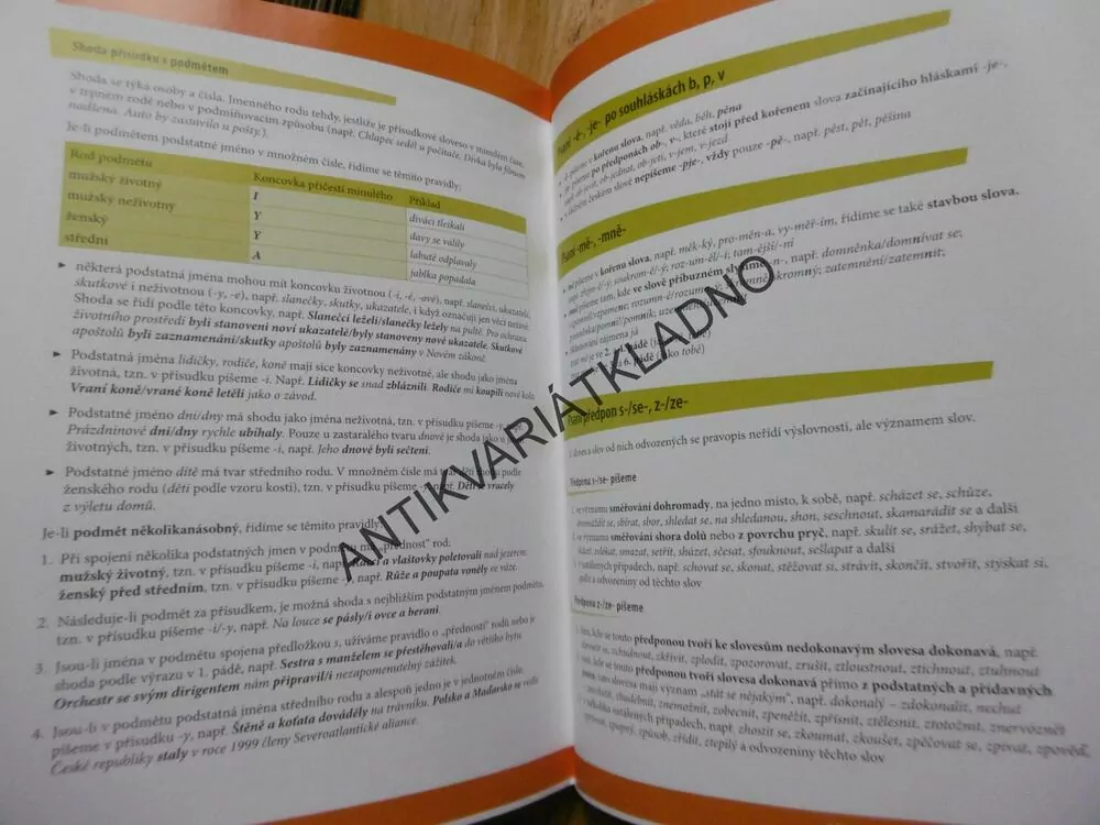 PRŮVODCE ČESKÝM JAZYKEM ANEB CO BYSTE MĚLI ZNÁT ZE ZÁKLADNÍ ŠKOLY