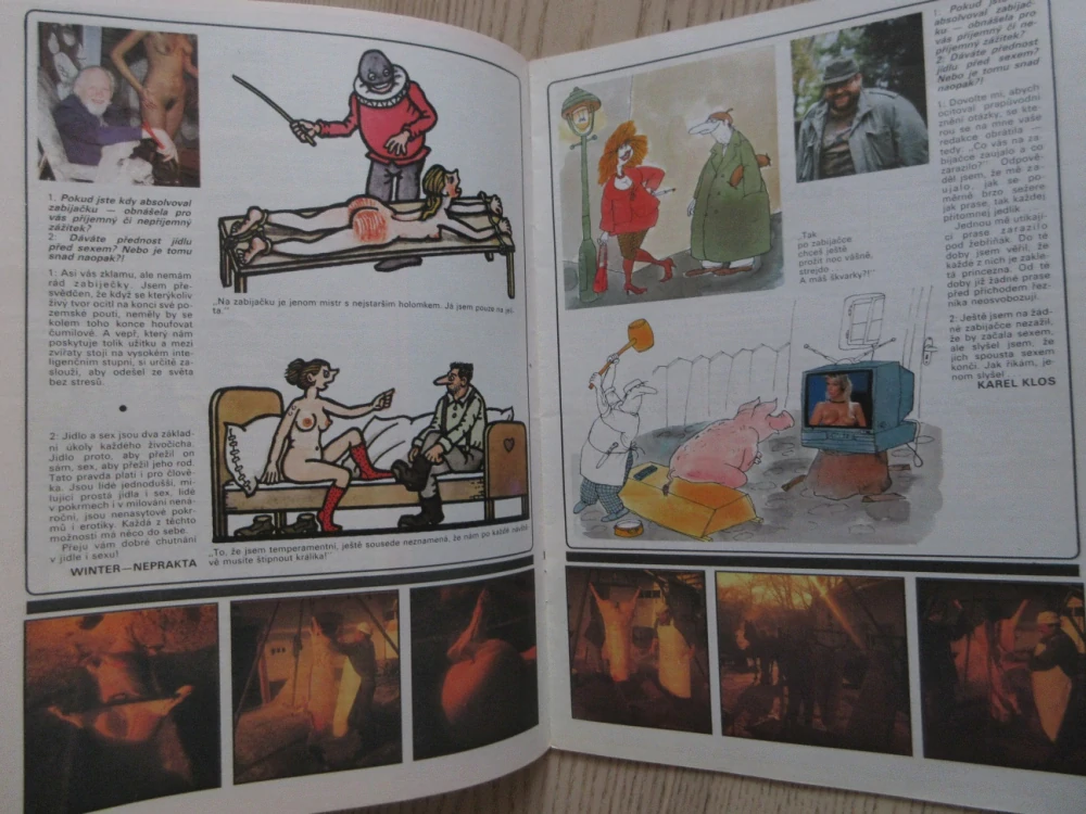 SEX BOX 2, MĚSÍČNÍK HUMORU O ŽENÁCH A MUŽÍCH, NEPRAKTA, 1991