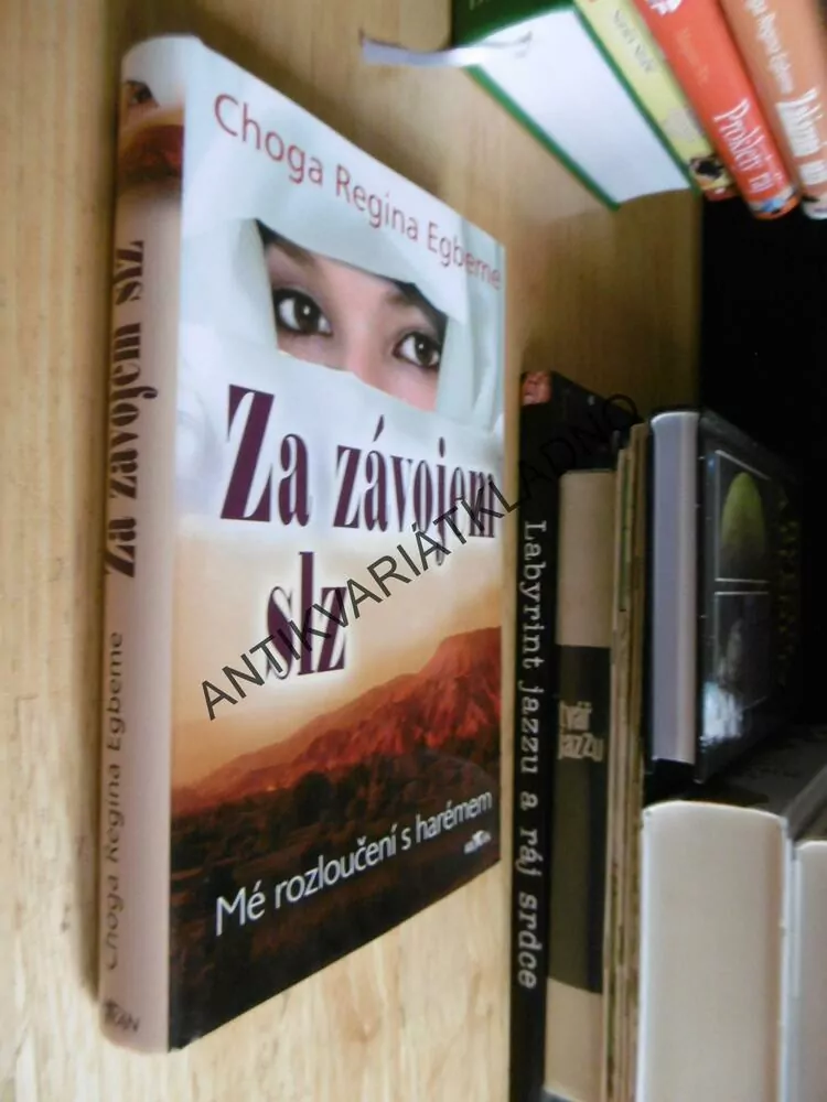 ZA ZÁVOJEM SLZ, MÉ ROZLOUČENÍ S HARÉMEM, CHOGA REGINA EGBEME