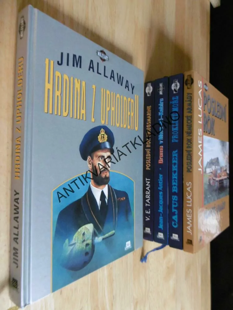 HRDINA Z UPHOLDERU, JIM ALLAWAY, **an