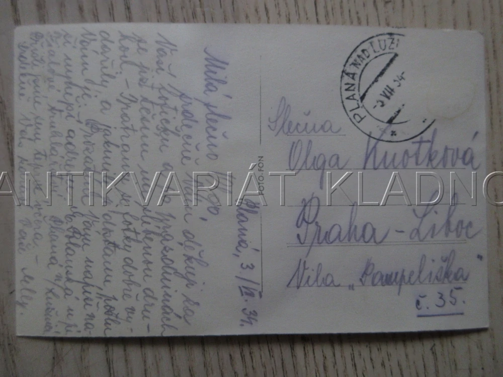 PLANÁ NAD LUŽNICÍ, VILOVÁ ČTVRŤ, CELKOVÝ POHLED, OKRES TÁBOR, POHLEDNICE 1880