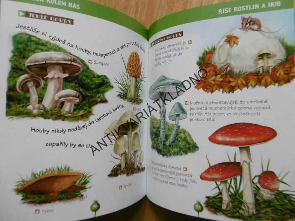 ENCYKLOPEDIE PŘÍRODA, ZÁBAVNÉ INFORMACE PRO DĚTI, **an