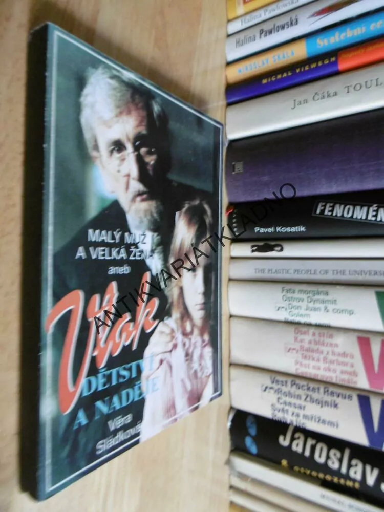 MALÝ MUŽ A VELKÁ ŽENA ANEB VLAK DĚTSTVÍ A NADĚJE, VĚRA SLÁDKOVÁ, FOTO FILM, **am