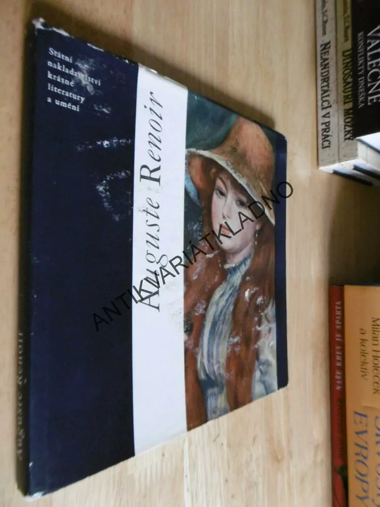 MALÁ GALERIE - AUGUSTE RENOIR, VÝTVARNÉ UMĚNÍ, **an