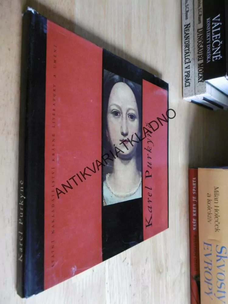 MALÁ GALERIE - KAREL PURKYNĚ, VÝTVARNÉ UMĚNÍ **an