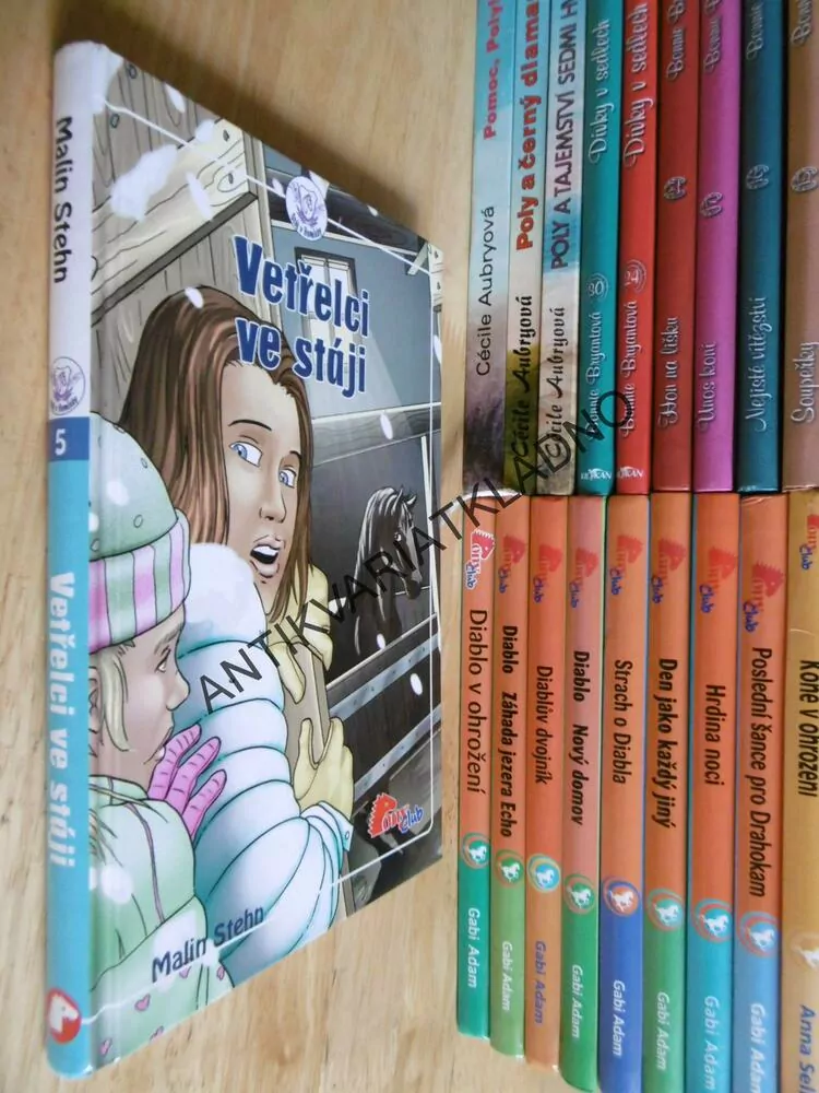 VETŘELCI VE STÁJI, MALIN STEHN, 