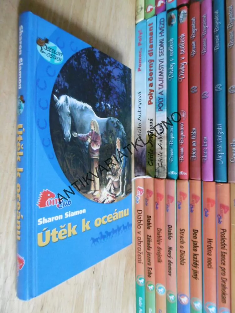 ÚTĚK K OCEÁNU, SHARON SIAMON, **an