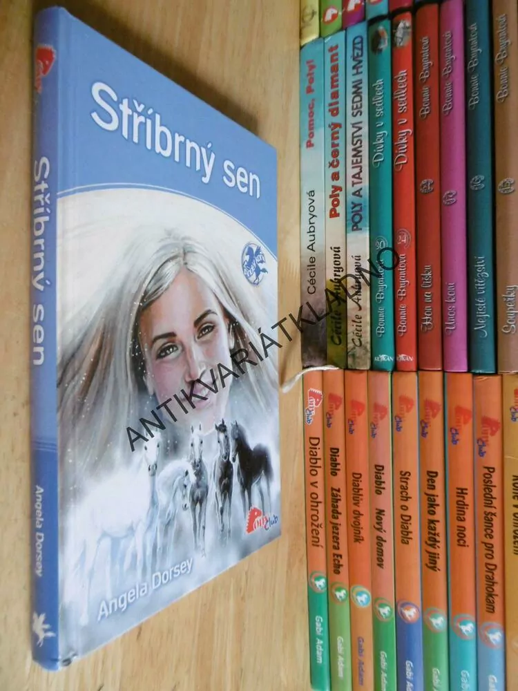 STŘÍBRNÝ SEN, ANGELA DORSEY, **an