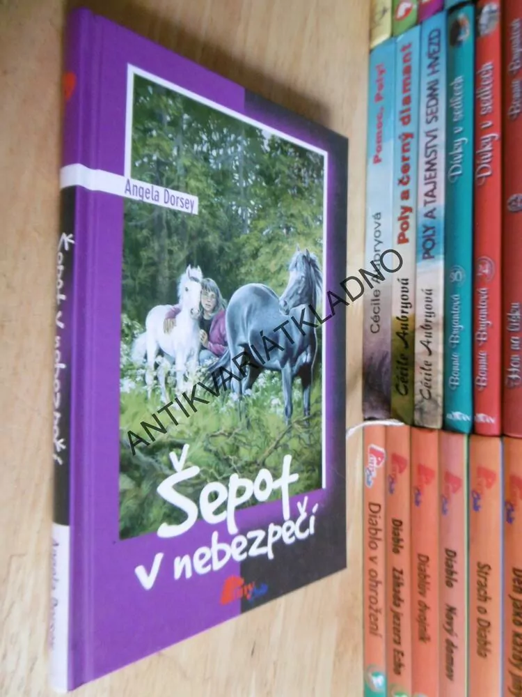 ŠEPOT V NEBEZPEČÍ, ANGELA DORSEY, **an