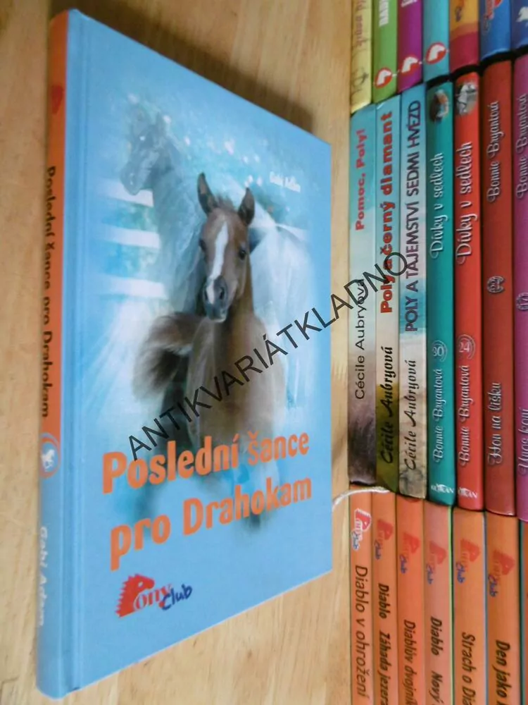 POSLEDNÍ ŠANCE PRO DRAHOKAM, GABI ADAM