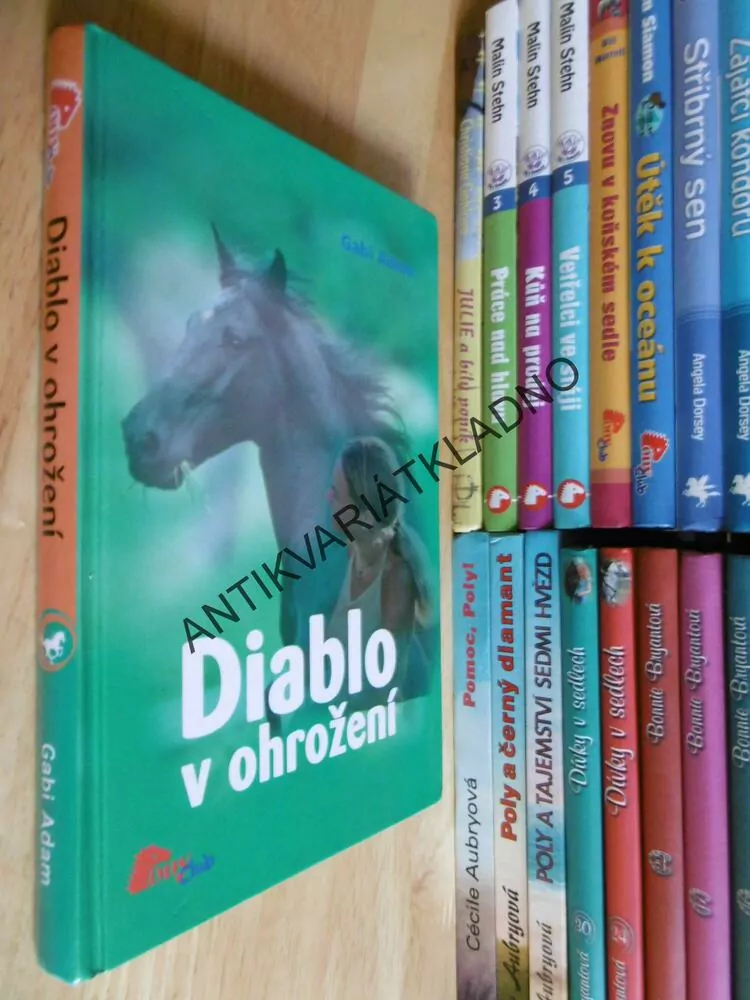 DIABLO V OHROŽENÍ, GABI ADAM, **an