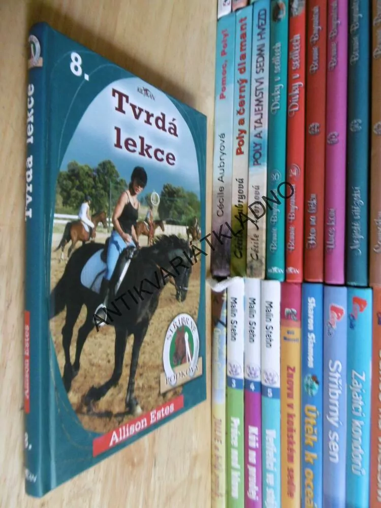 TVRDÁ LEKCE, ALLISON ESTES