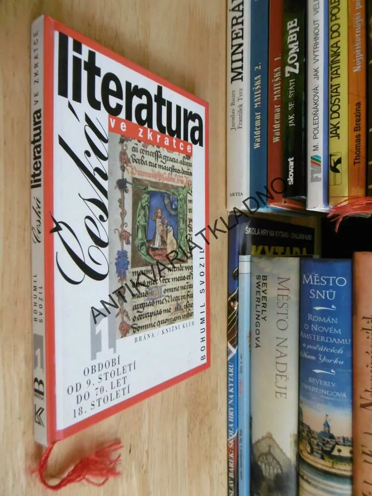 ČESKÁ LITERATURA VE ZKRATCE, 1, SVOZIL, 