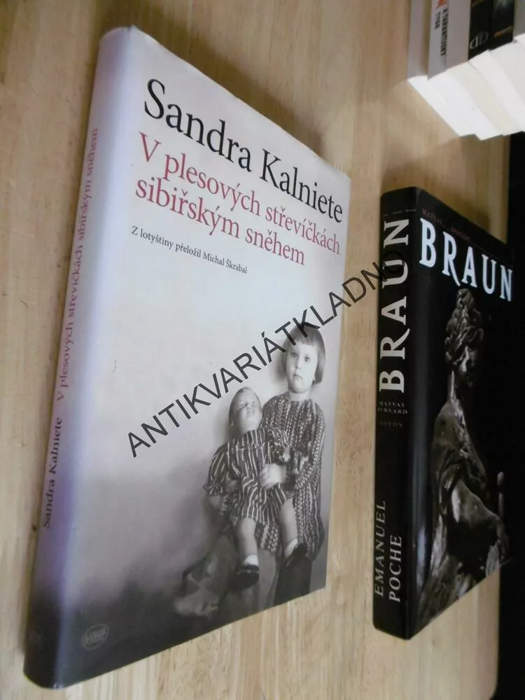 V PLESOVÝCH STŘEVÍČKÁCH SIBIŘSKÝM SNĚHEM, SANDRA KALNIETE