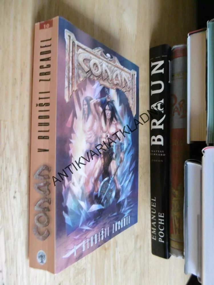CONAN V BLUDIŠTI ZRCADEL,