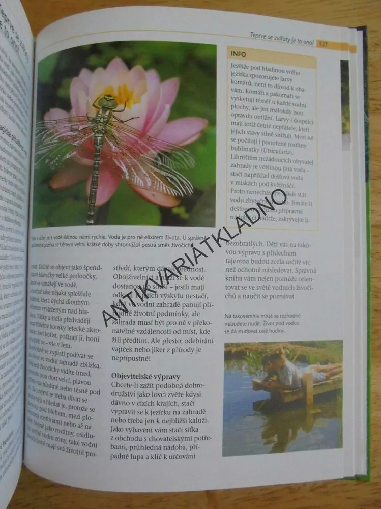 VODOPÁDY, JEZÍRKA, POTŮČKY, ZAHRADA, HOBBY