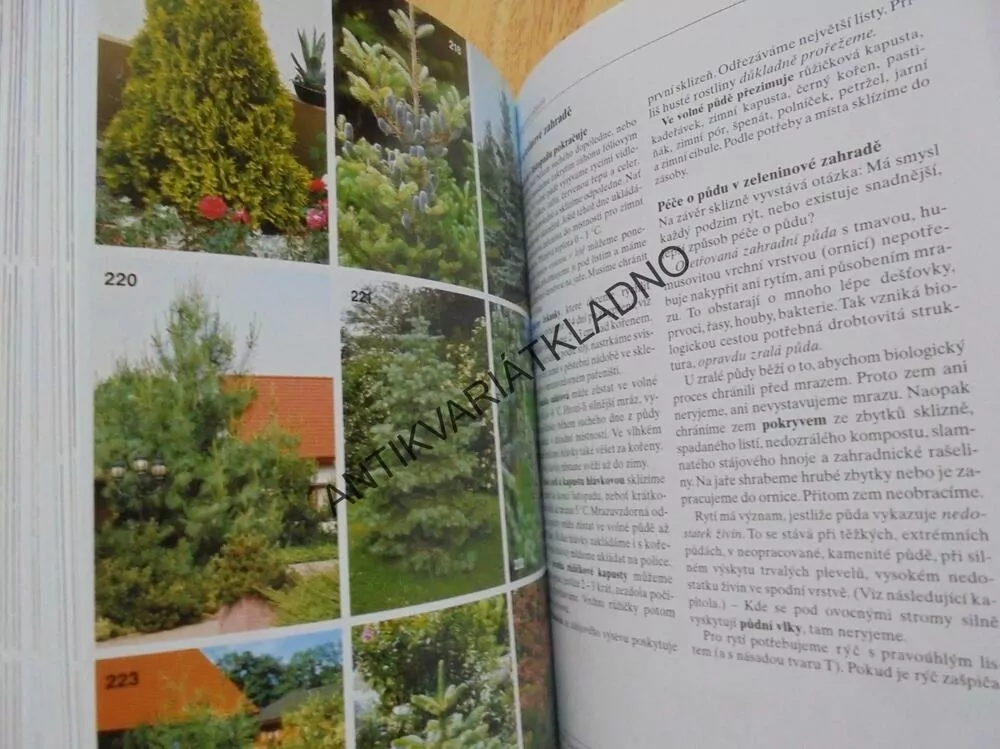 DVANÁCT MĚSÍCŮ V ZAHRADĚ, HOBBY,