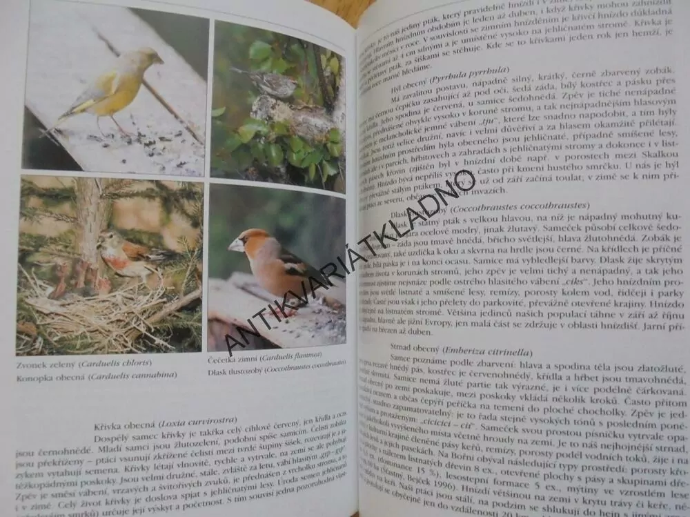 FAUNA BÍLINSKA, V.BEJČEK,K.ŠŤASTNÝ, BÍLINA,TEPLICE