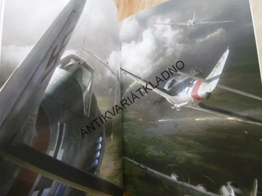 FW 190 VS B-17, EVROPA 1944-45, ROBERT FORSYTH