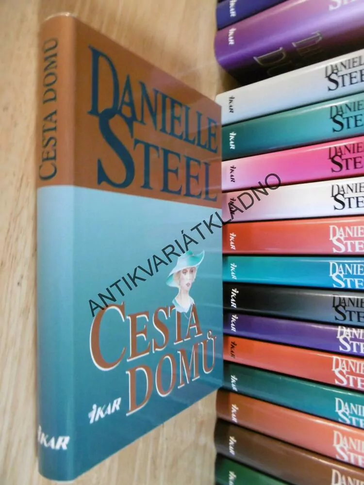 CESTA DOMŮ, DANIELLE STEEL