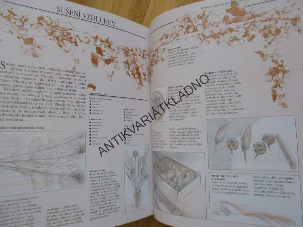 SUŠENÉ KVĚTINY, SBĚR,SUŠENÍ,ARANŽOVÁNÍ, DEKORACE , HOBBY, **an