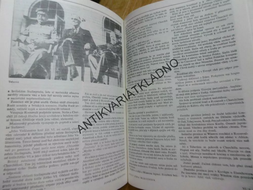 ŽIVOT SIRA WINSTONA, CHURCHILL