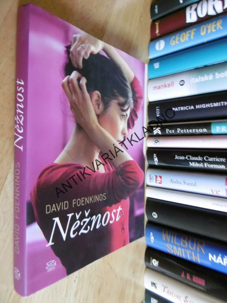 NĚŽNOST, DAVID FOENKINOS, **an