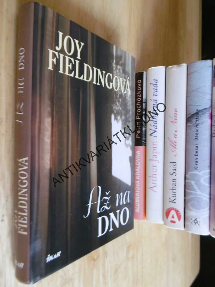 AŽ NA DNO, JOY FIELDINGOVÁ, **an