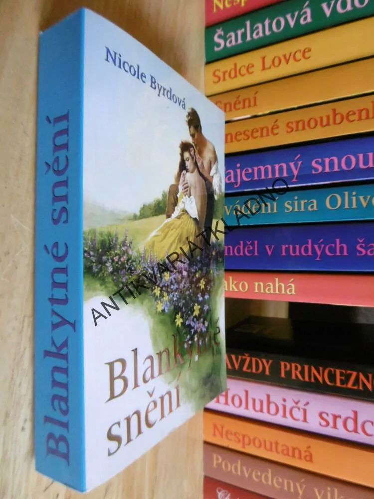 BLANKYTNÉ SNĚNÍ, NICOLE BYRDOVÁ, **an