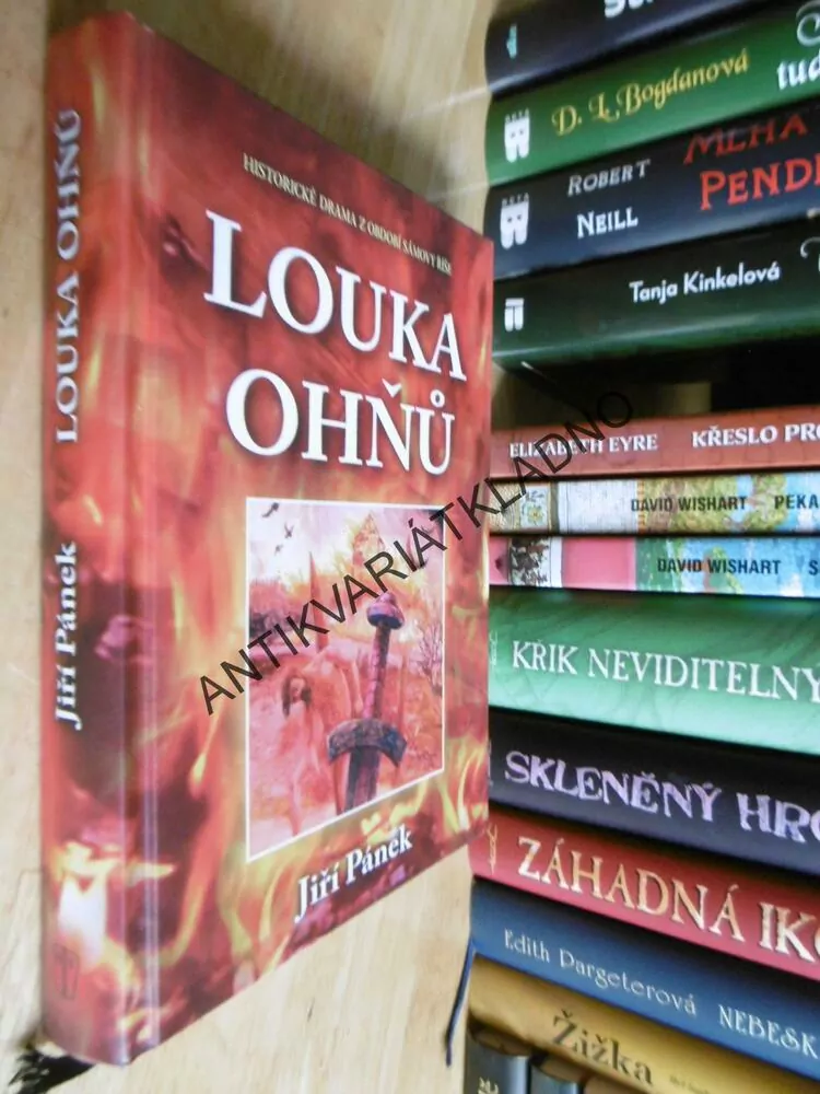 LOUKA OHŇŮ, JIŘÍ PÁNEK, **an