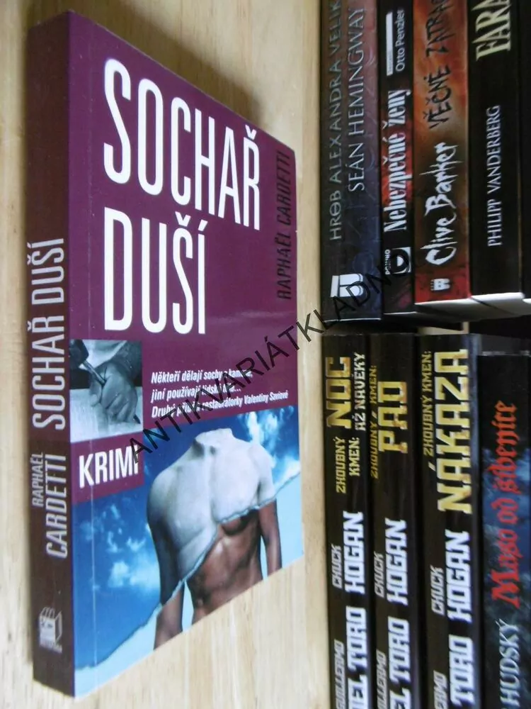 SOCHAŘ DUŠÍ, RAPHAËL CARDETTI, **an