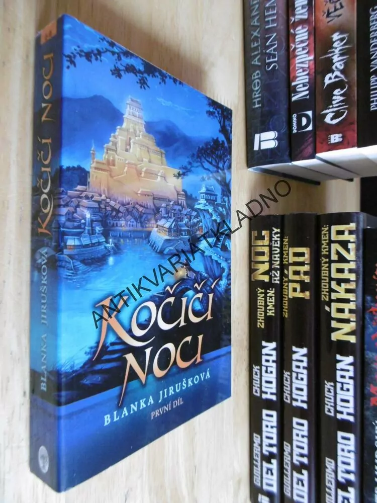 KOČIČÍ NOCI, BLANKA JIRUŠKOVÁ, **an