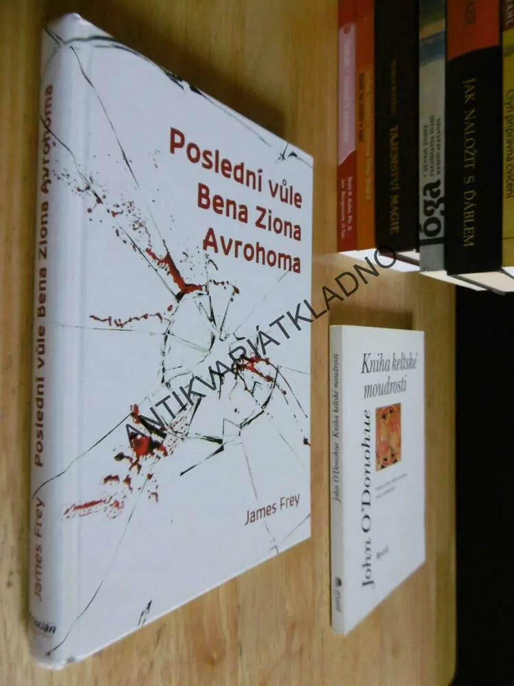 POSLEDNÍ VŮLE BENA ZIONA AVROHOMA, JAMES FREY, **an