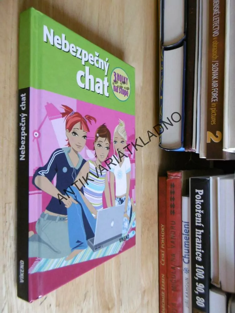 NEBEZPEČNÝ CHAT, 3 HOLKY NA STOPĚ, HENRIETTE WICH,