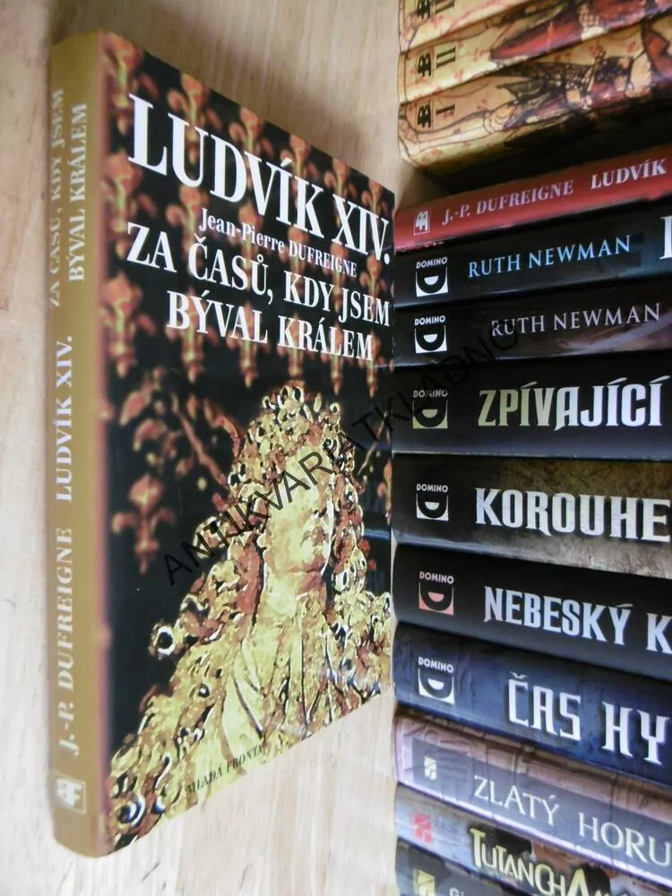 LUDVÍK XIV. ZA ČASŮ, KDY JSEM BÝVAL KRÁLEM, JEAN-PIERRE DUFREIGNE, **an