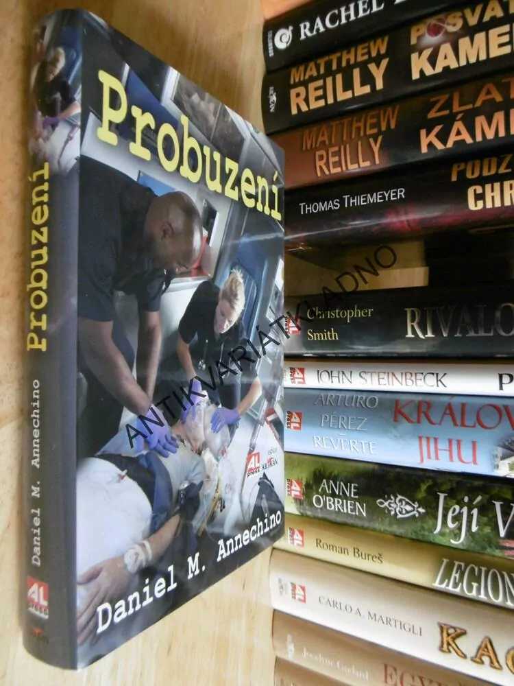 PROBUZENÍ, DANIEL M. ANNECHINO, **an
