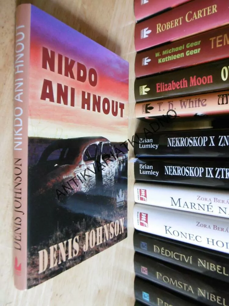 NIKDO ANI HNOUT, DENIS JOHNSON, **an