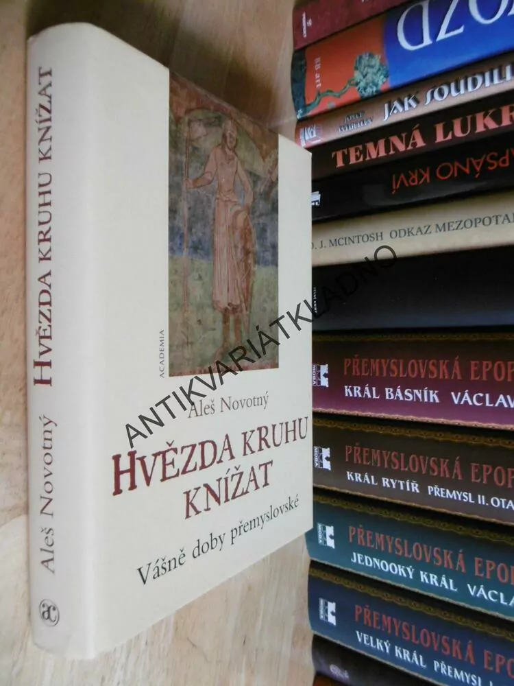 HVĚZDA KRUHU KNÍŽAT, VÁŠNĚ DOBY PŘEMYSLOVSKÉ, ALEŠ NOVOTNÝ, **an