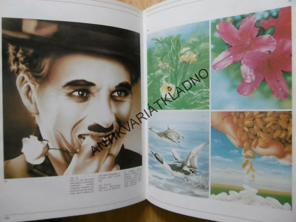 AMERICKÁ RETUŠ, AIRBRUSH, FERRÓN, **an
