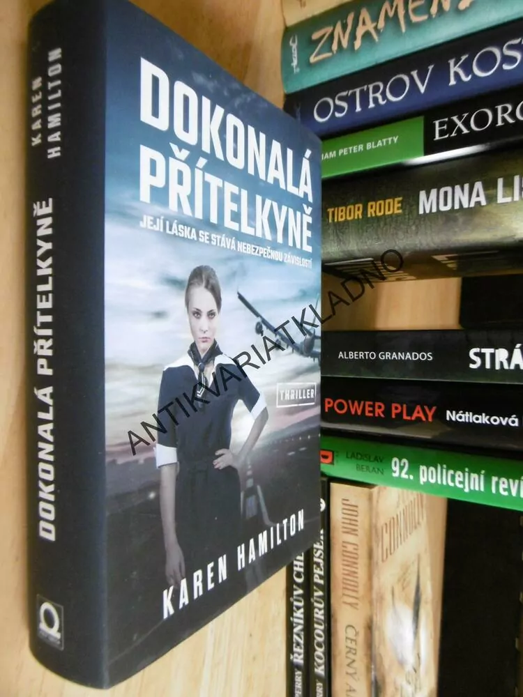 DOKONALÁ PŘÍTELKYNĚ, KAREN HAMILTON