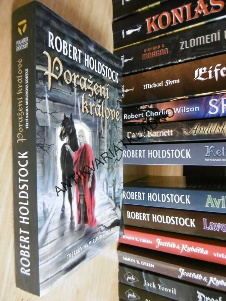 PORAŽENÍ KRÁLOVÉ, ROBERT HOLDSTOCK